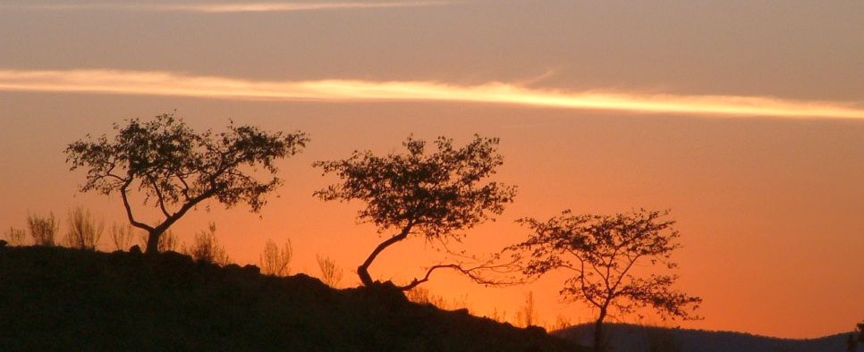 Namibia busz